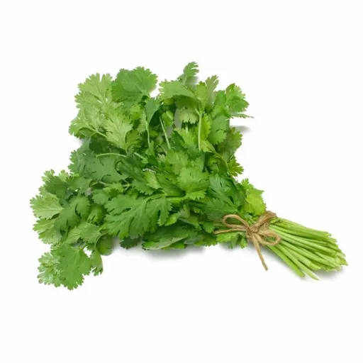 Coriander Bunch