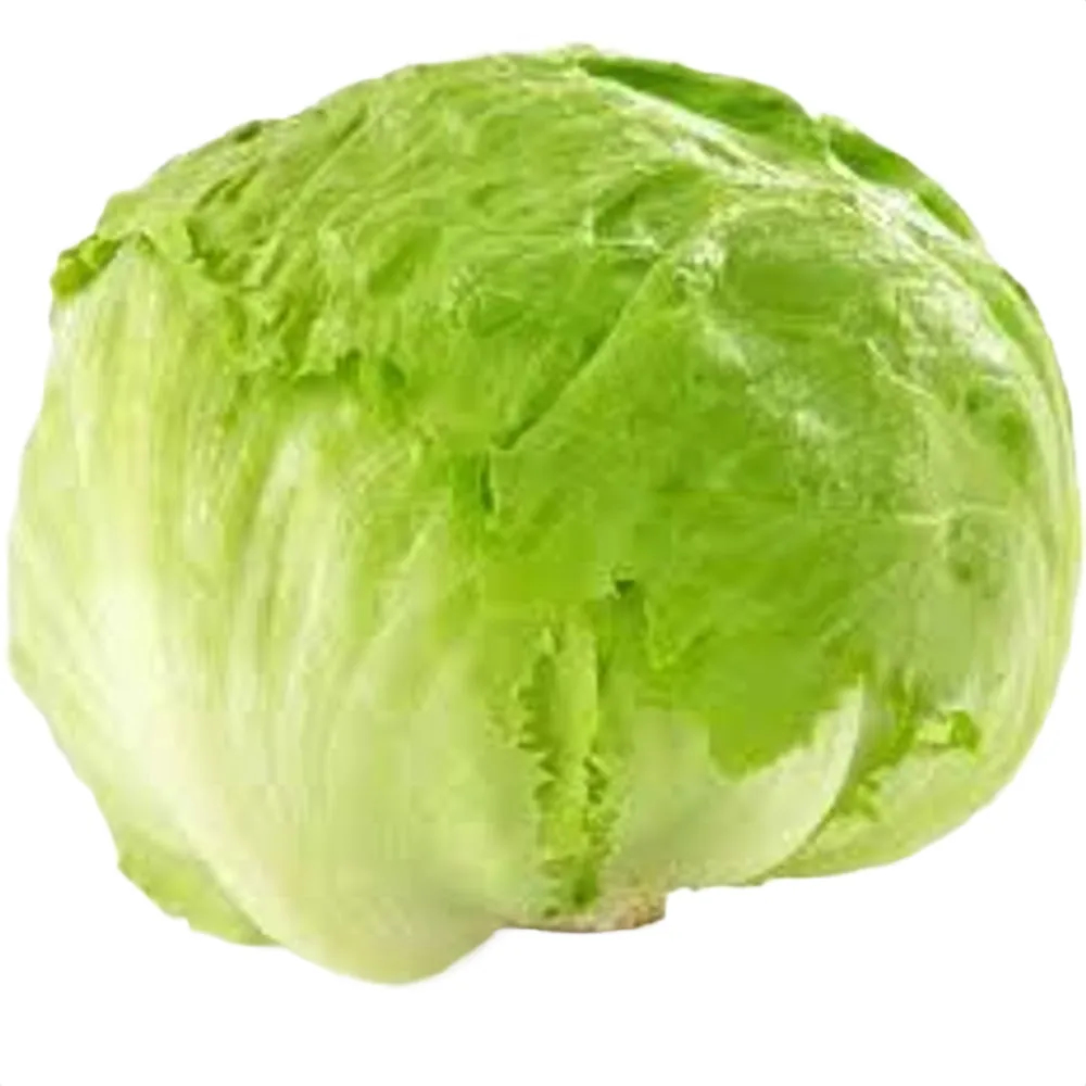 Lettuce Iceberg 250GM