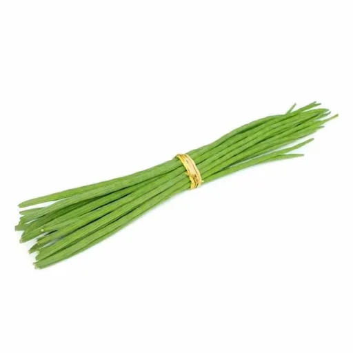 Drumstick