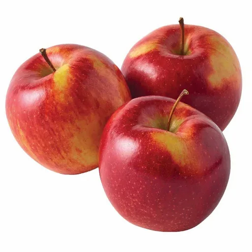 Apple Envy 500GM