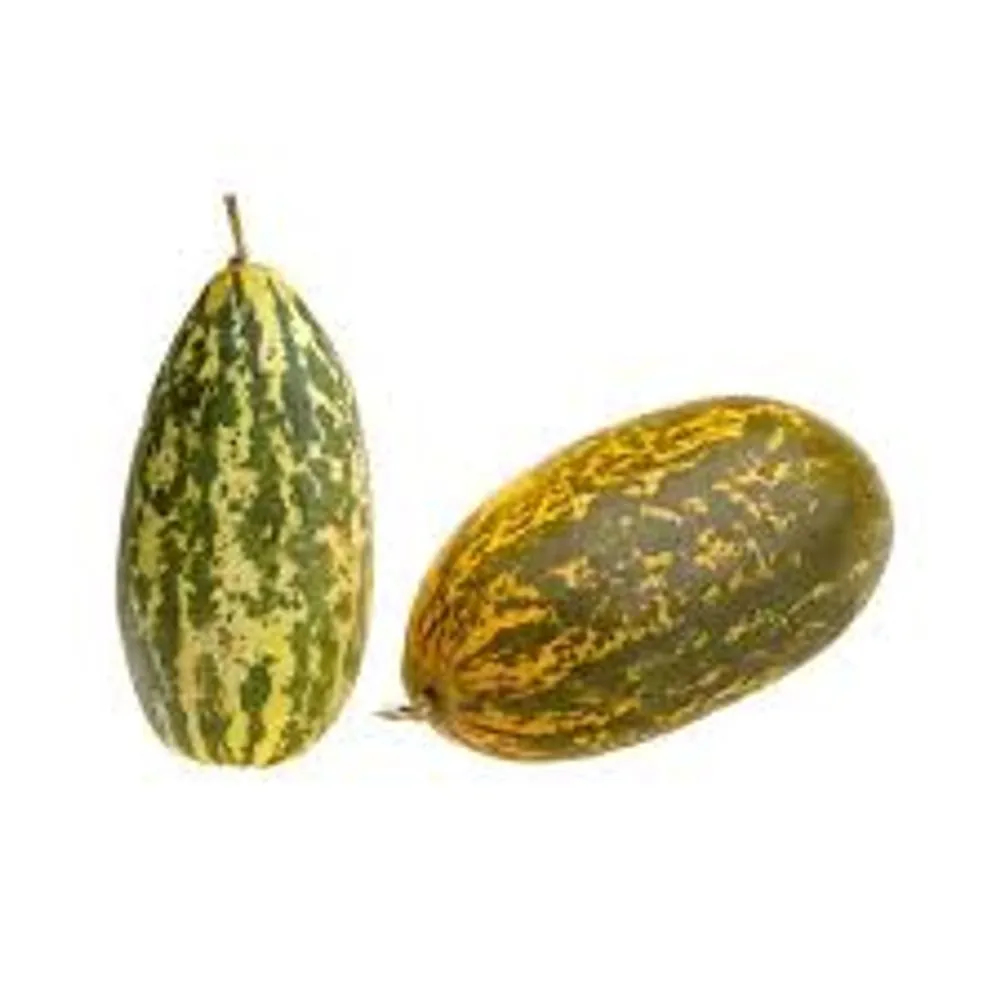 Madras Cucumber 500GM