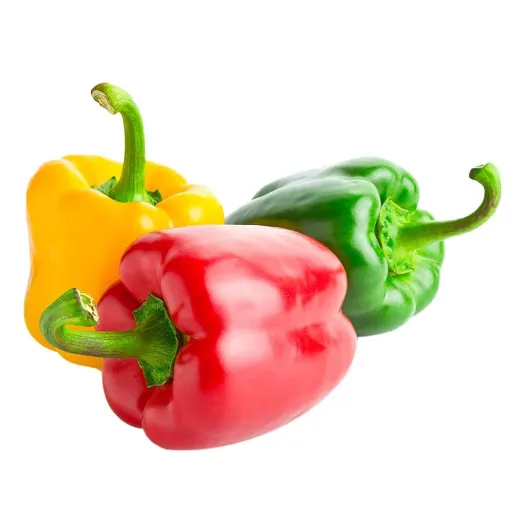 Tri Colour Capsicum Pack