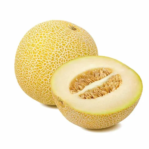 Muskmelon Galia