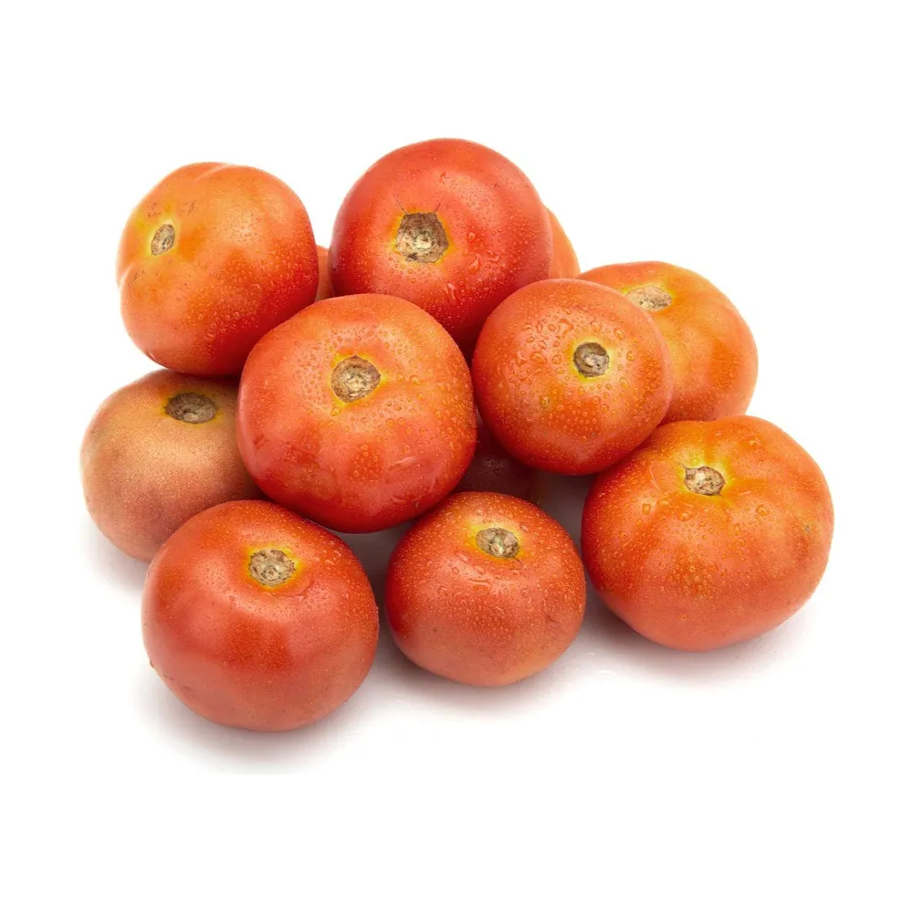 Tomato Country 500GM