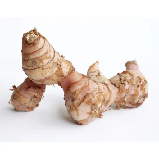 Namdhari Galangal